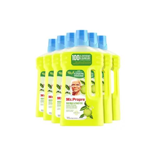 Mr. Propre Bergamot